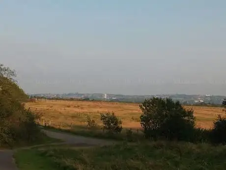 Photo de Pelaw Quarry Pond Local Nature Reserve