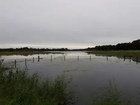 Photo de Beleven
