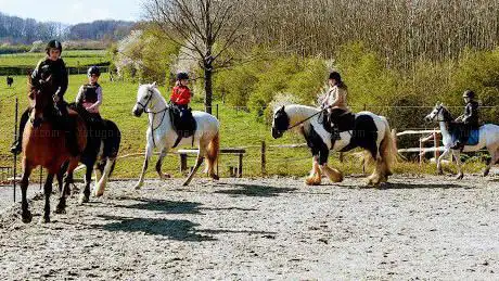 Photo de Jeff's Valley Ruiterclub