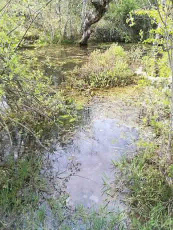 Photo de Laguna de La Yedra