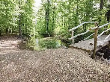 Waldbrücke