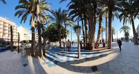 Photo de Parc Municipal El Palmeral Elche