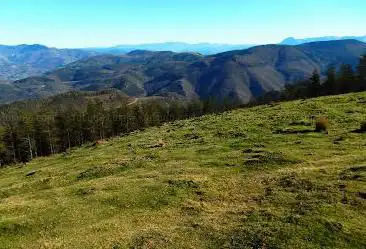 Photo de OINDO monte