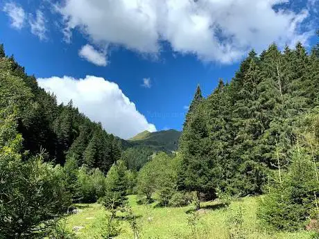 Photo de Foresta Azzaredo Casù