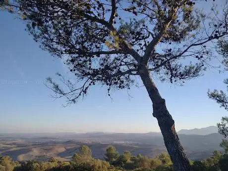 Photo de Mirador de la Cancha