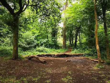 Photo de Dinas Powys Hillfort
