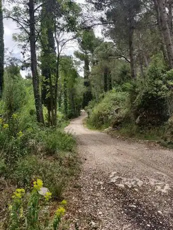 Photo de Area attrezzata