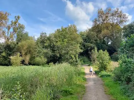 Motmolen
