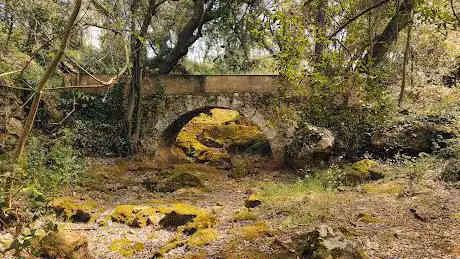 Salt de Martís