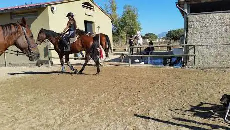 Centro Equestre Selargino