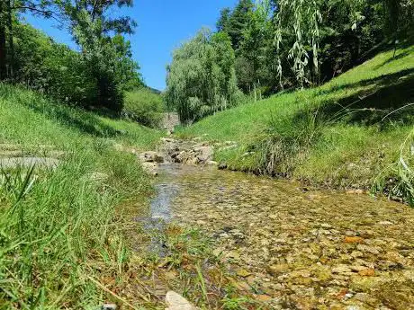 Photo de Sorgente dell'Olona
