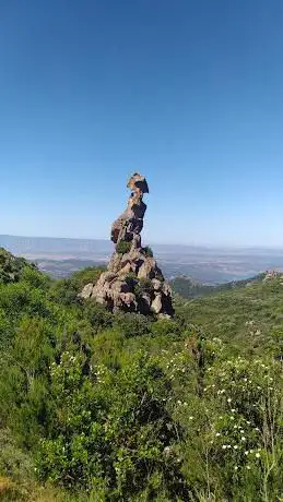 Sa Crabarissa  Austis