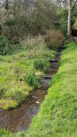 Photo de The Water Garden