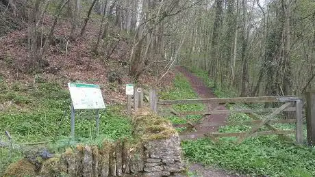 Photo de Three Groves Wood