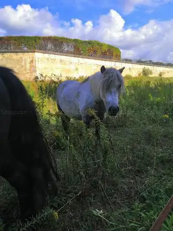 Epona Club Nature