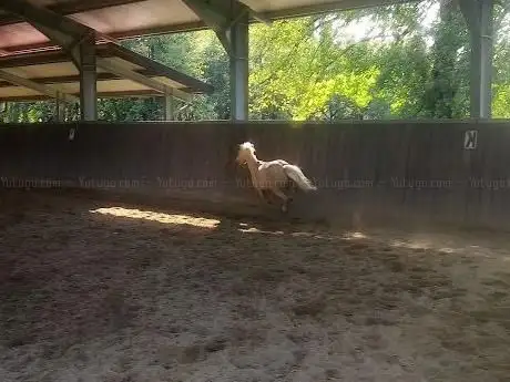 Photo de Equiluna Equestrian Center