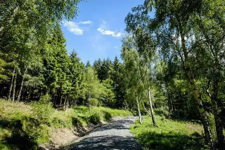 Photo de Tweed Valley Forest Park