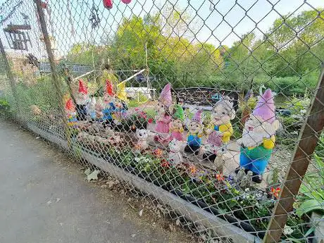 Photo de Elaines Fairy Garden