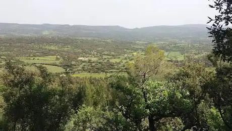 Complesso Forestale Monte Minerva