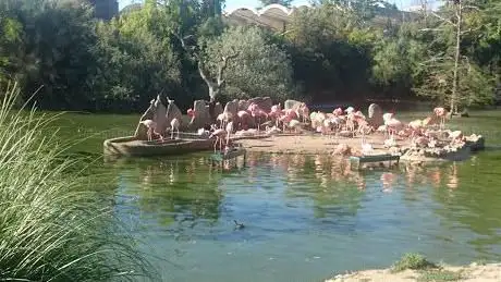 Photo de El Lago