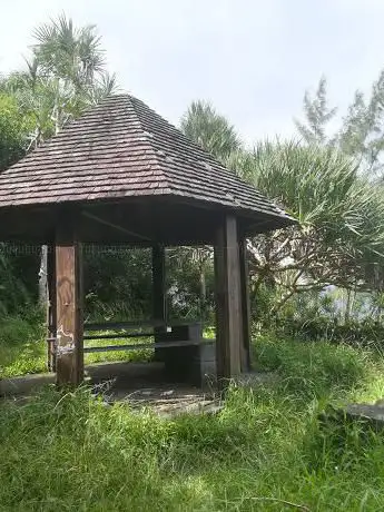 Picnic