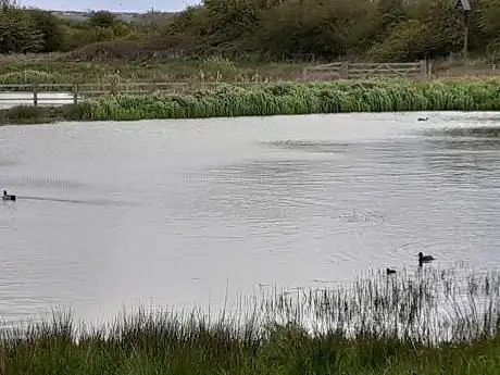 Filey Dams Nature Reserve