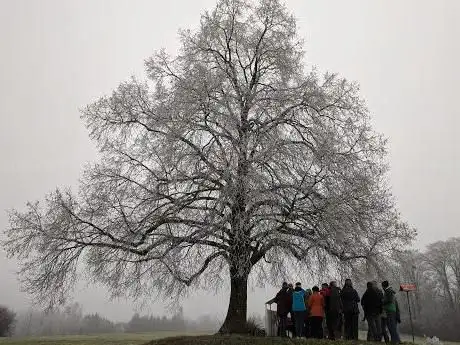 Aussichtspunkt