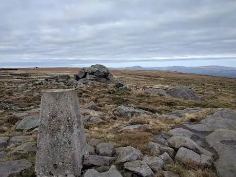 Photo de Ward's Stone