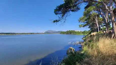 Stagno del Calich – Area Birdwatching