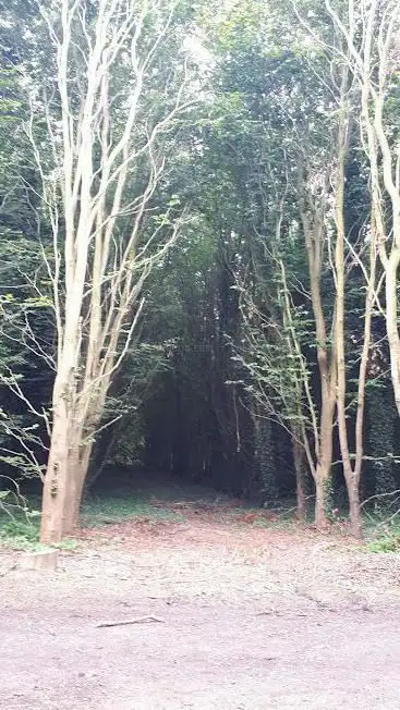 Photo de Les Chemins de l'eau