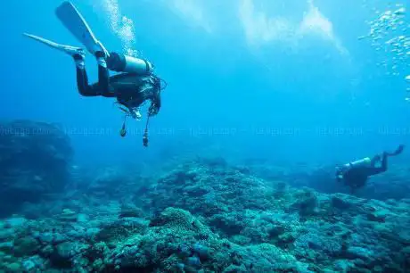 Photo de Suny Diving Travel Agency