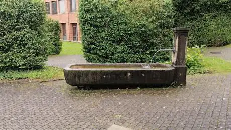 Photo de Brunnen Lerbermatt