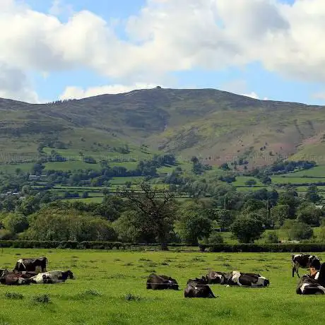 Clwydian Range AONB