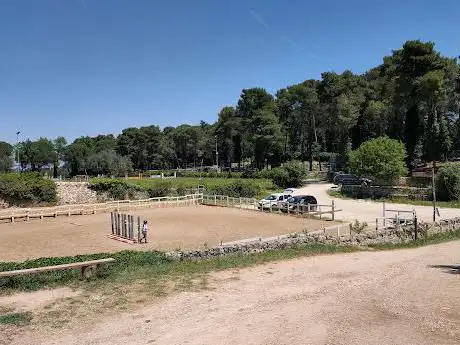 Photo de ASD Circolo Ippico La Pineta