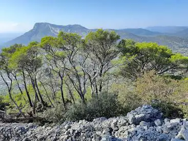Photo de Sommet du mont Faron