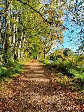 Photo de Lady Mary's Walk