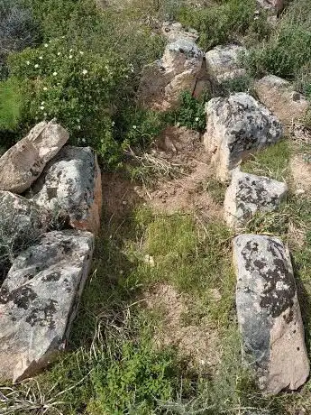 Tomba di Giganti Taulaxia I
