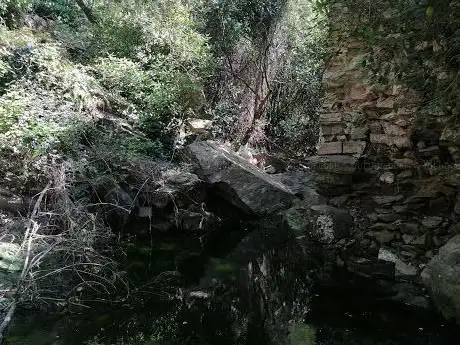 Photo de Moli d'en banyes