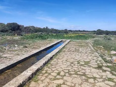 Parco della Giara - Genoni
