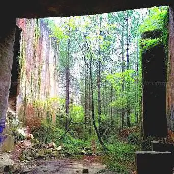 Photo de Carrières de Saint Restitut