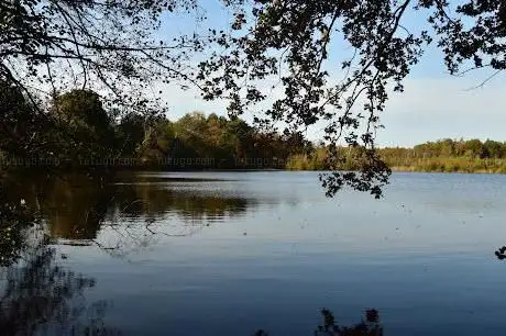Photo de Natuurdomein Kiewit