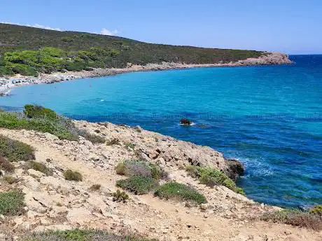 Photo de Su portu e su trigu