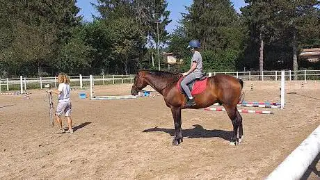 Photo de LF Quarter Horses