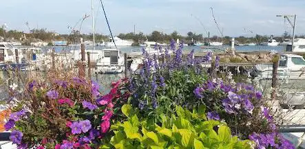 Photo de Port des cabane de Fleury