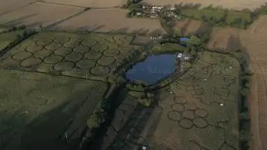 Photo de Labyrinthe en Vendée Vallée