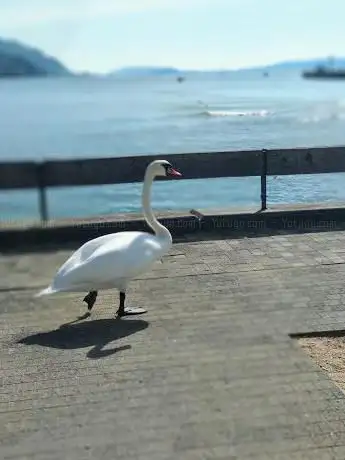 Lac de Bienne