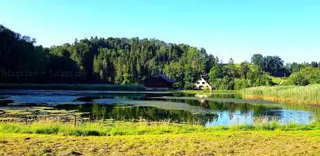 Glattmüli