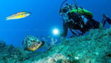 Photo de Sirene Boat Diving