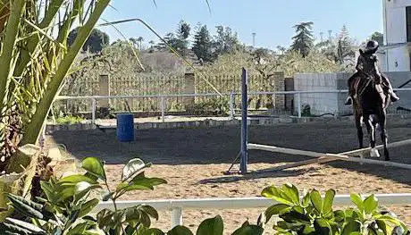 Photo de Escuela de Equitación Hipicana
