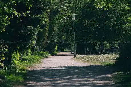 Photo de Schaffhausen Park